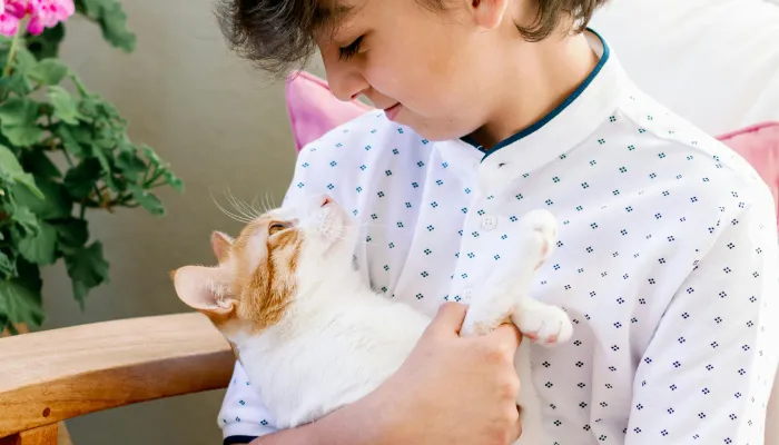 How Do Cats Say “Hello”?