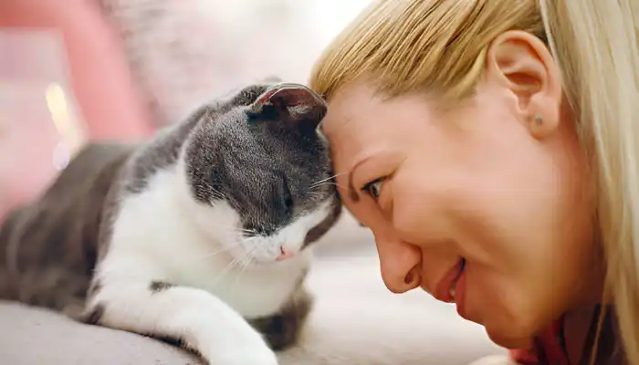 Benefits of Using Cat Sounds Translator Apps Benefits of Using Cat Sounds Translator Apps