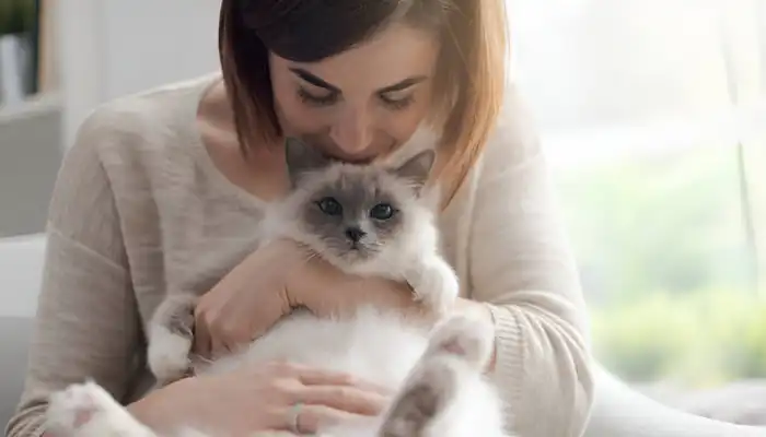 Benefits of Using a Cat Language Translator Benefits of Using a Cat Language Translator