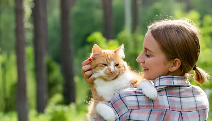 How Do Cats Say I Love You