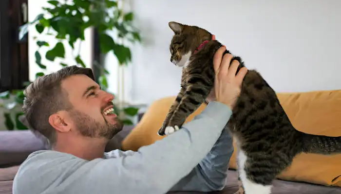 How Do I Say Thank You in Cat Translator