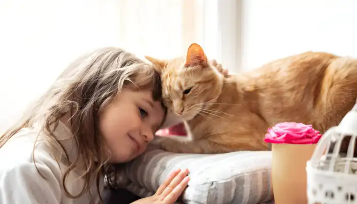 Top 5 Cat Translator Apps to Try in 2025 Top 5 Cat Translator Apps to Try in 2025